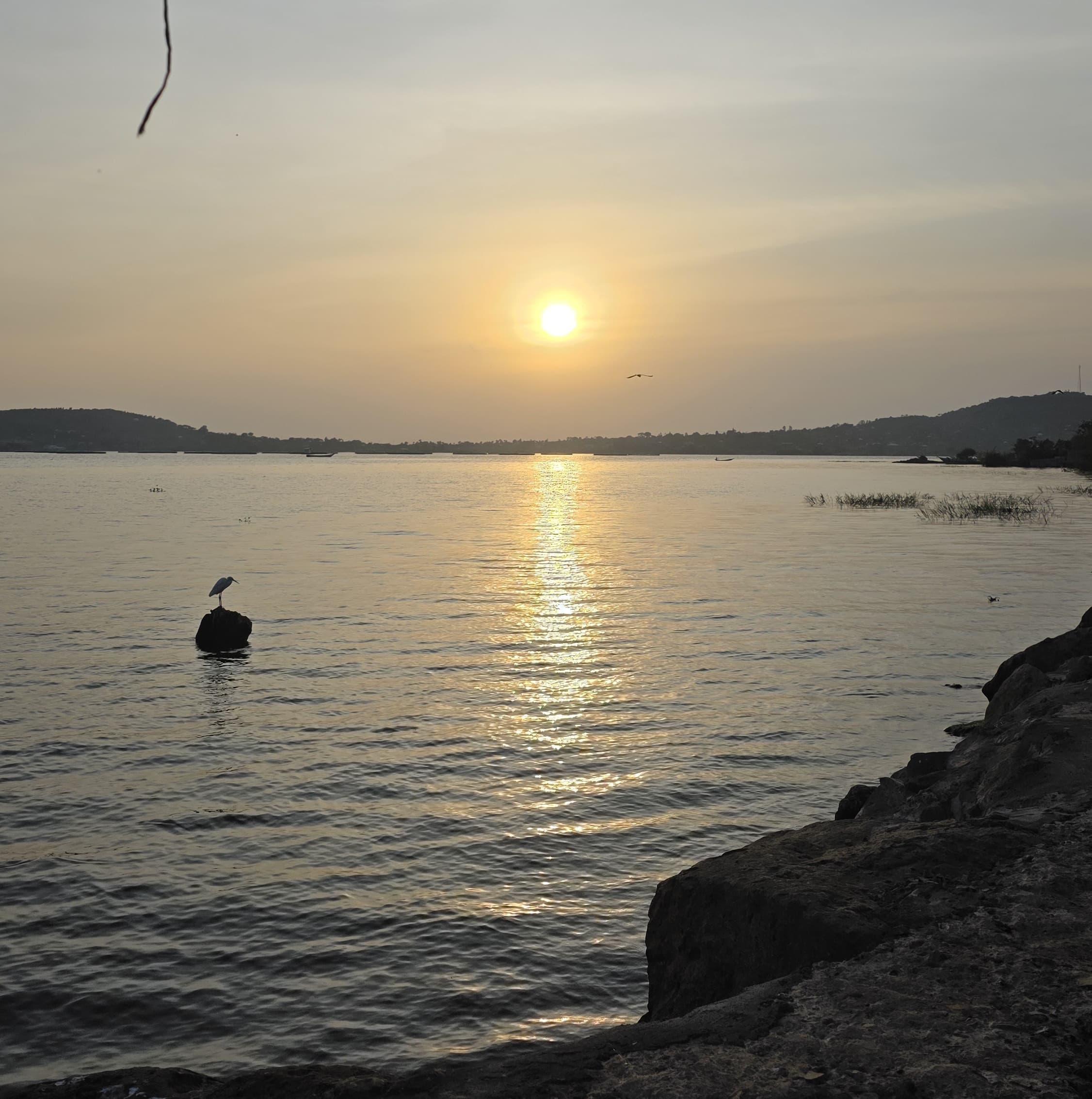 Sunrise by the shores of L.Victoria