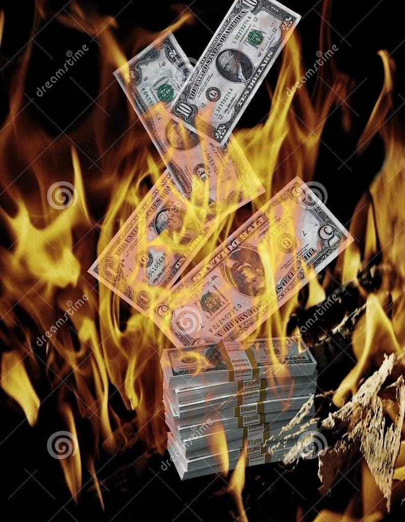 Image showing money burning in a fire