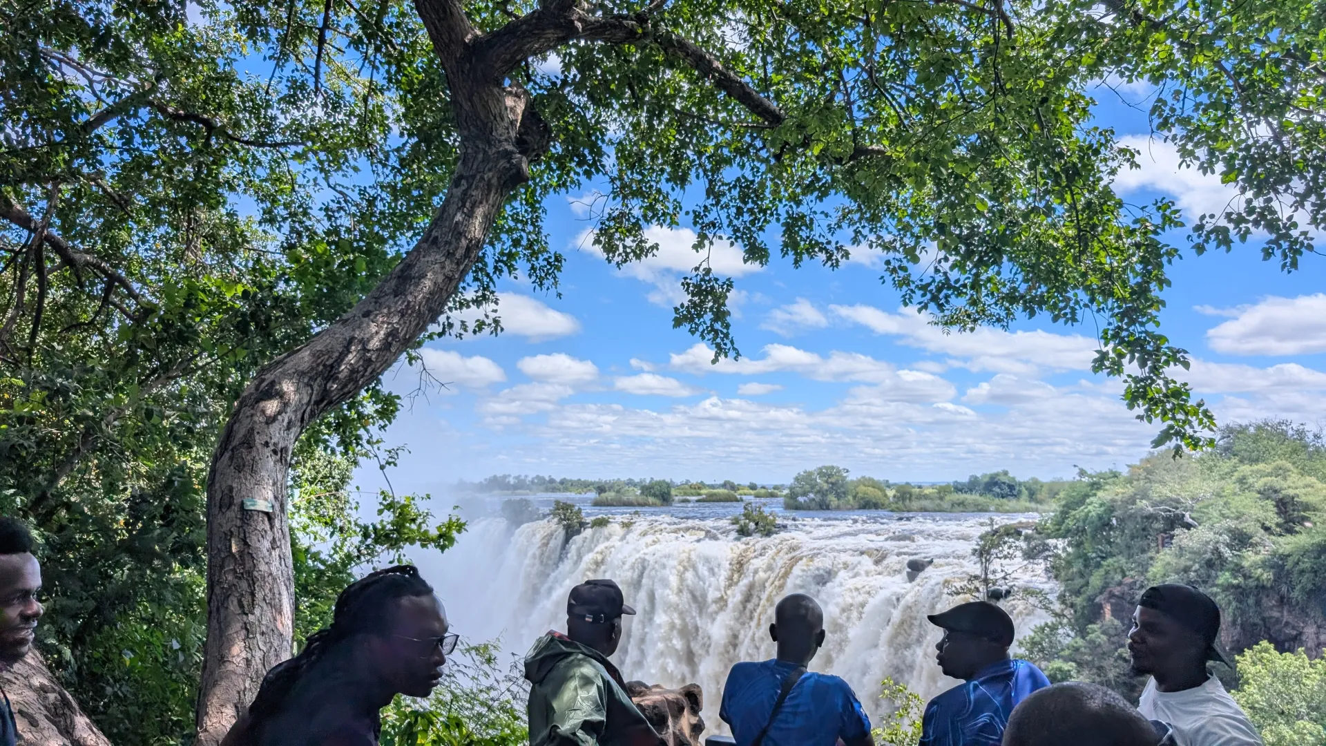 Overlooking the falls