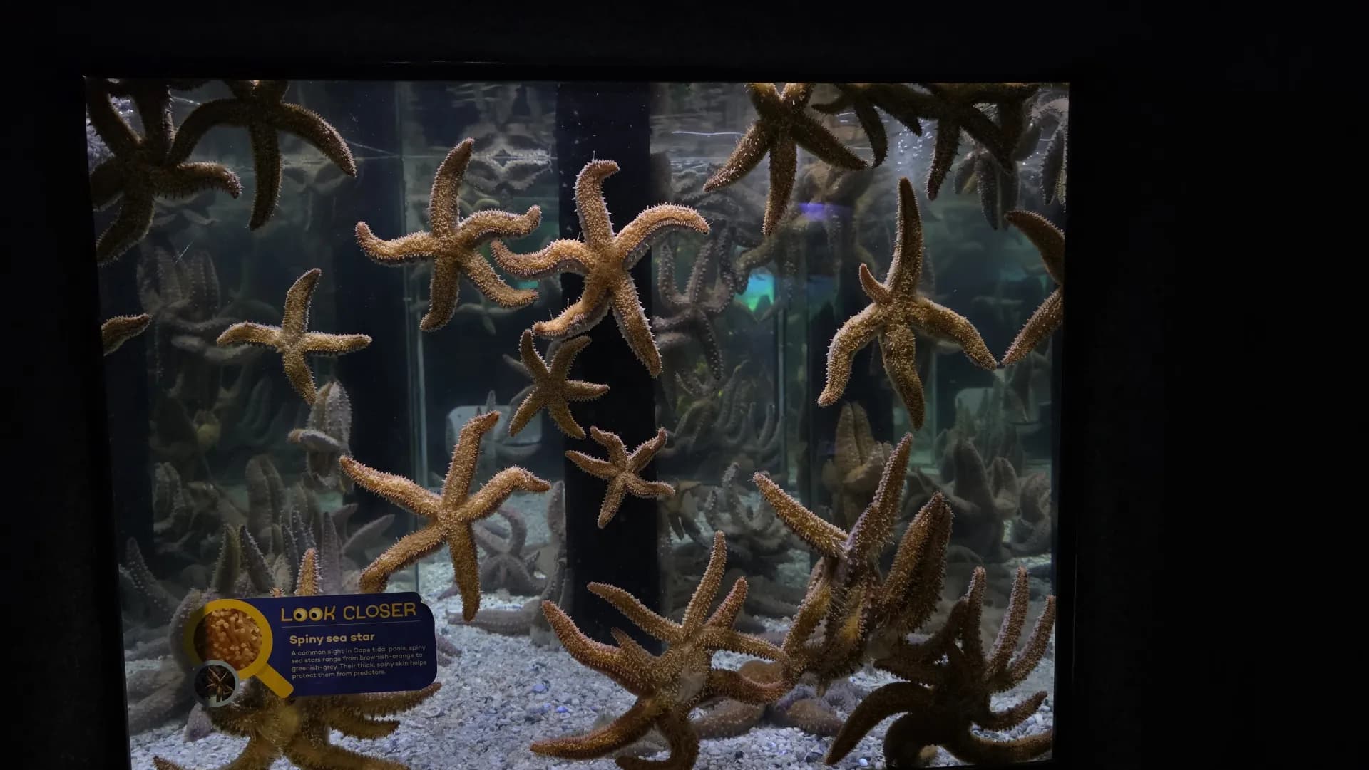 Two Oceans Aquarium