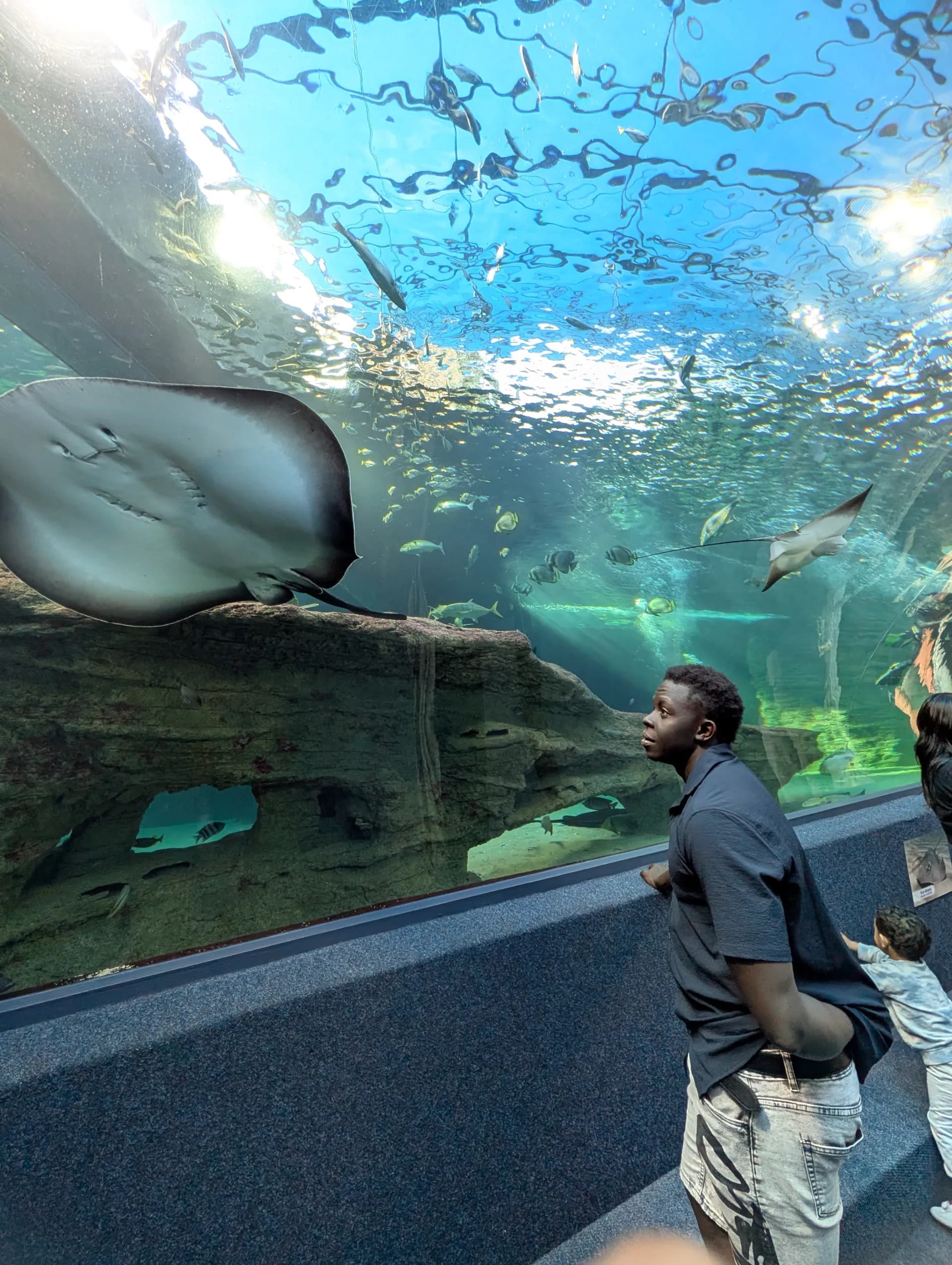 Two Oceans Aquarium