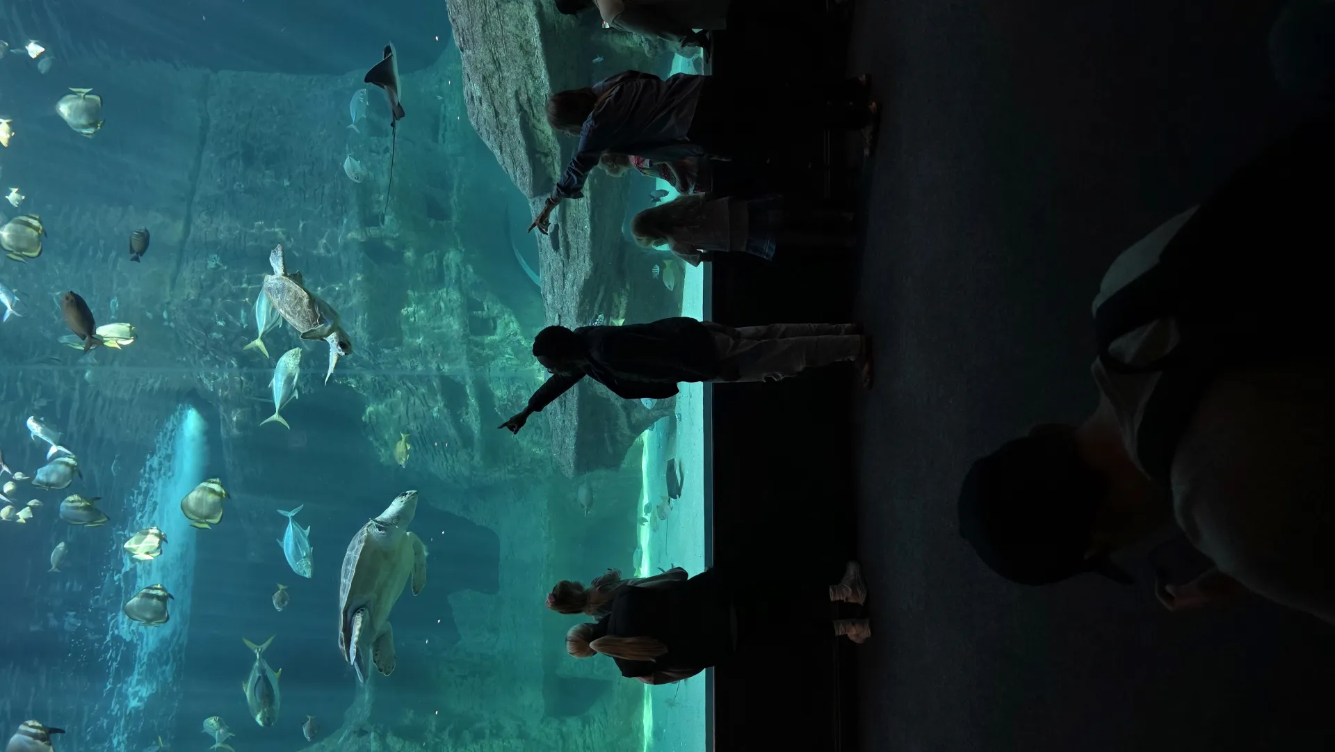 Two Oceans Aquarium