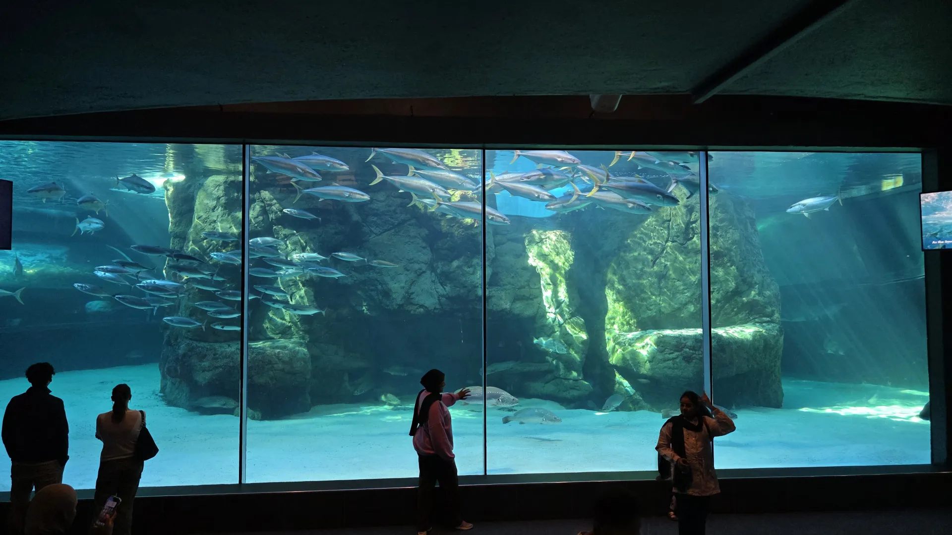 Two Oceans Aquarium