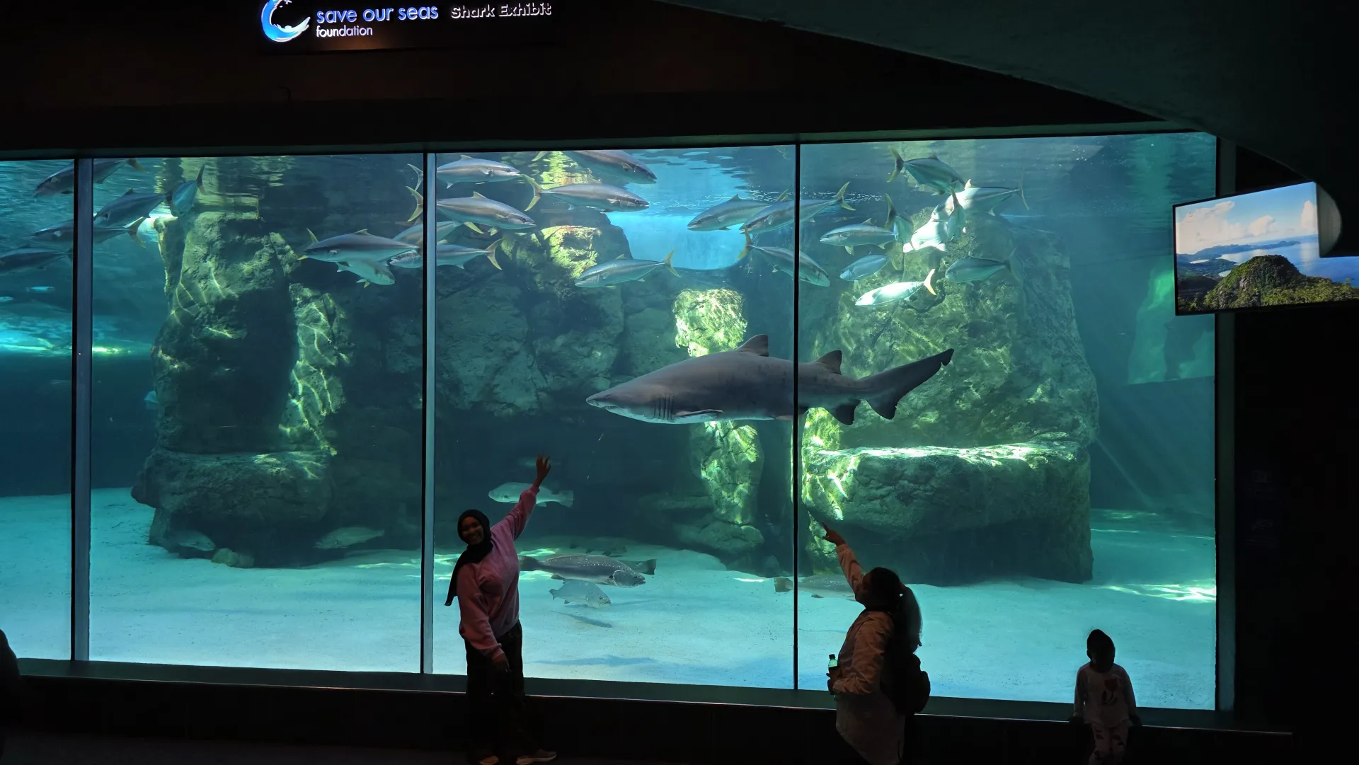 Two Oceans Aquarium